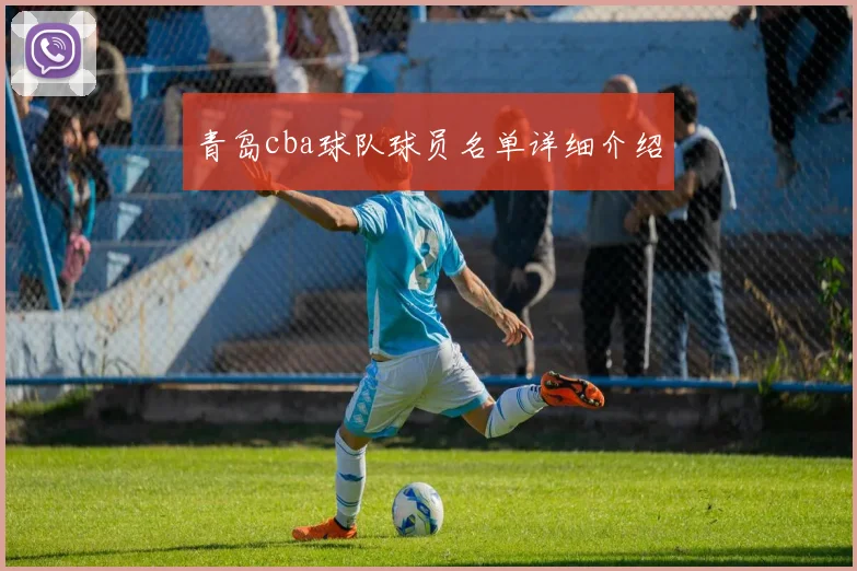 青岛cba球队球员名单详细介绍