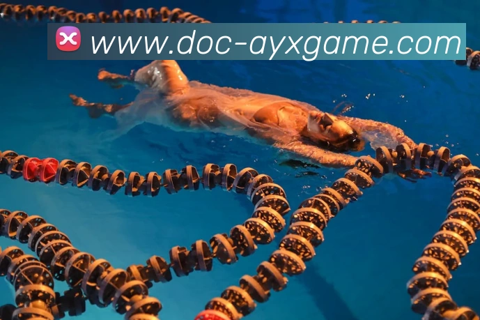 多媒体互动体验